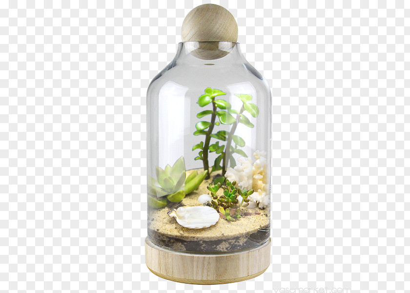 Glass Bottle Bell Jar Cloche Terrarium PNG
