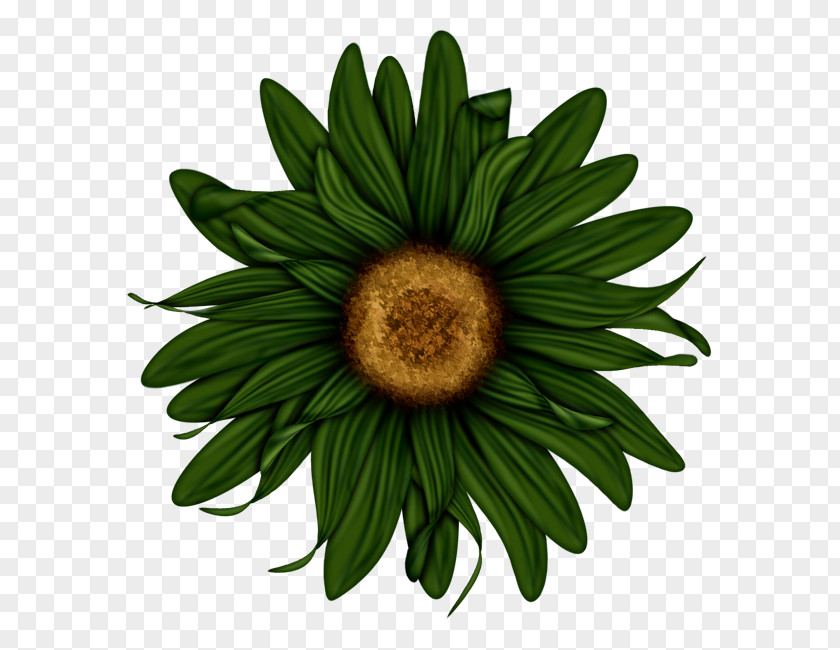 Green Sunflower Flower Clip Art PNG