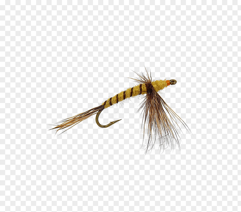 Dry Flies Artificial Fly Woolly Bugger 2000 Ford Ranger XL Electric NIMH Lead Acid PNG