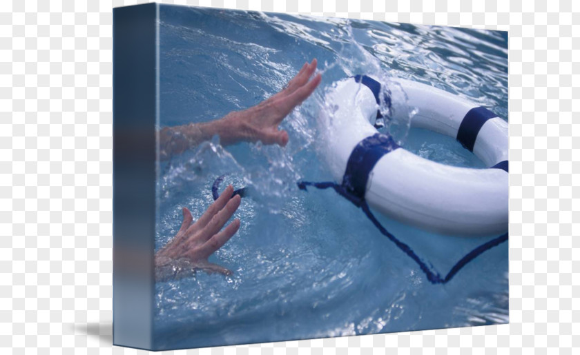 Life Preserver Water Leisure Dolphin Vacation Personal Protective Equipment PNG