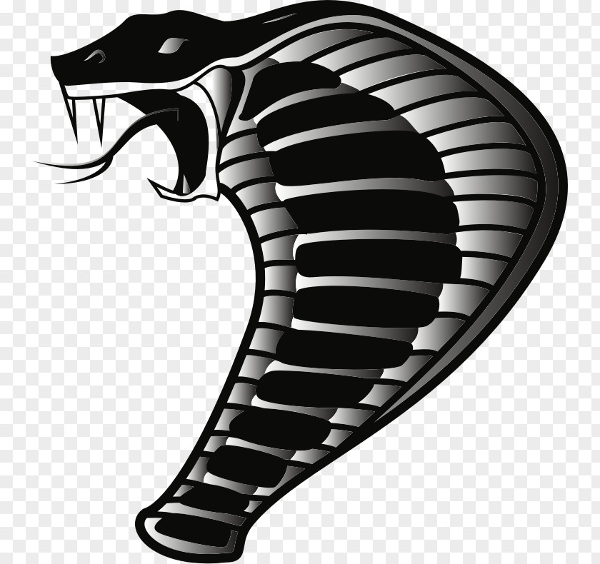 Snake Reptile Cobra Clip Art PNG