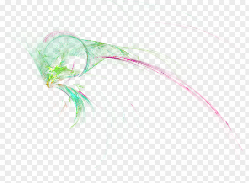 Arkaplan Psd Painting Feather LINE PNG