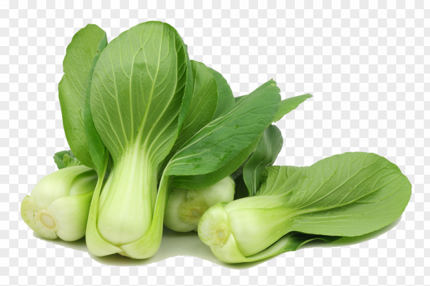 Cabbage Cruciferous Vegetables Spring Greens Choy Sum PNG
