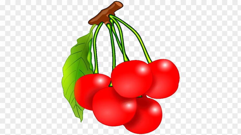 Cherry Fruit Food Vegetable PNG
