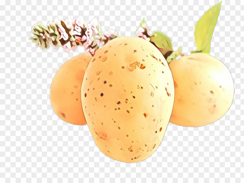 Fruit Plant Food PNG