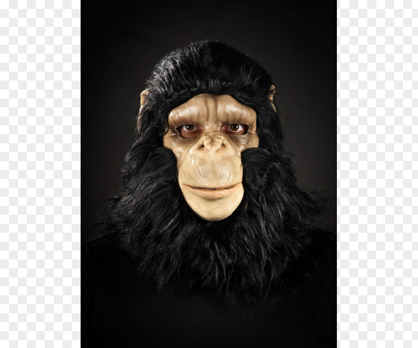 Gorilla Common Chimpanzee Monkey Mask Snout PNG