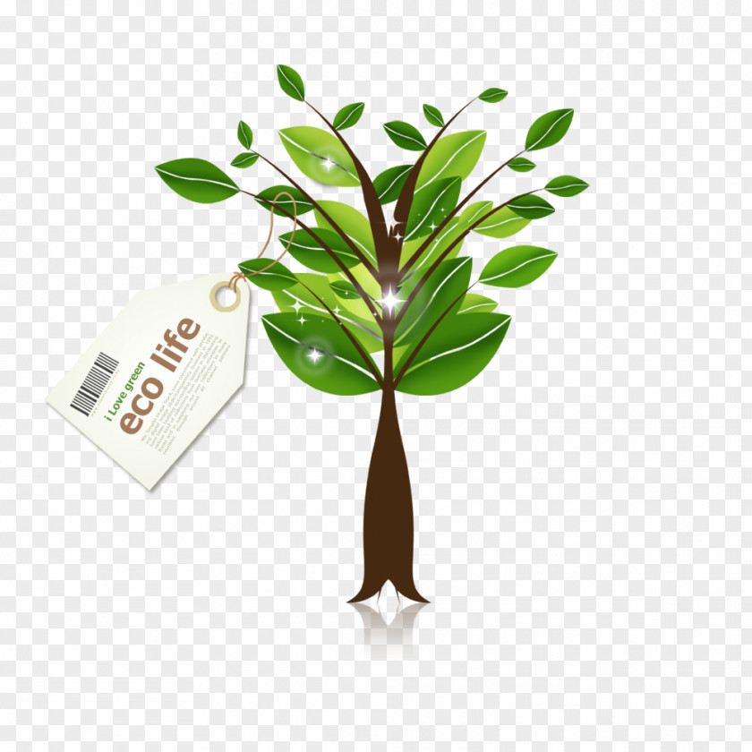Green Modern Plant Decoration PNG