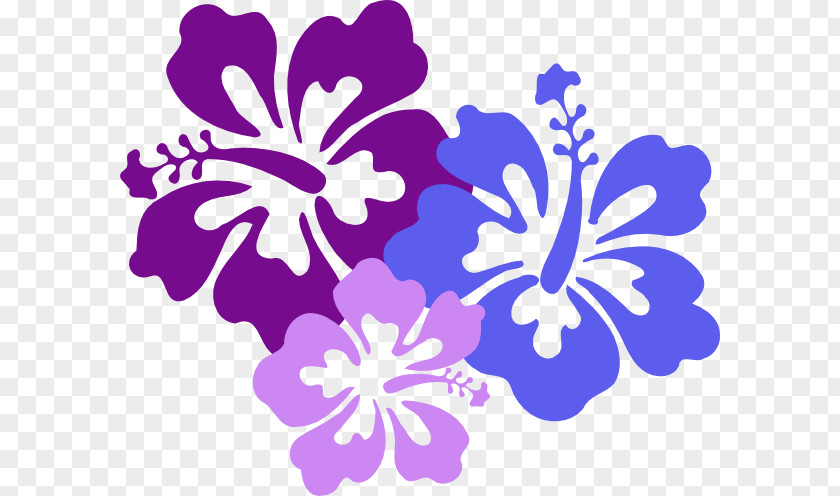Hawaiian Border Cliparts Flower Luau Clip Art PNG