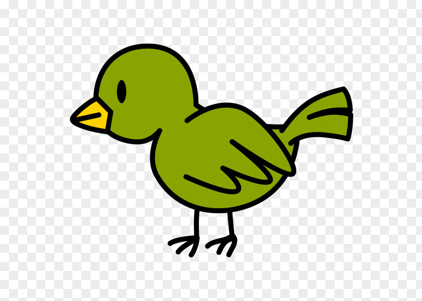 Java Plum Water Bird Duck Cygnini Clip Art PNG