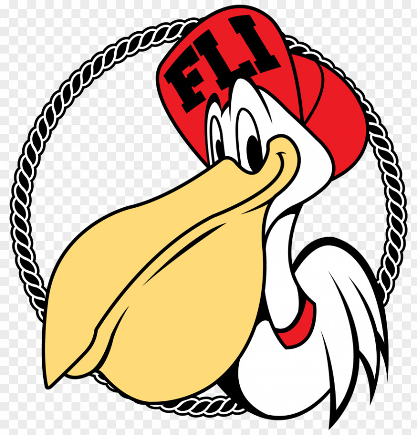 Pelican NFL Linebacker Chicken Running Back Wide Receiver PNG