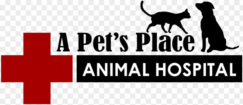 Veterinarian Clinic A Pet's Place Animal Hospital Cat Logo Dog Mammal PNG