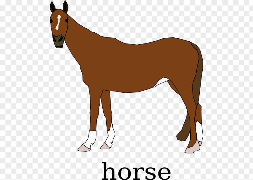 Cartoon Horse Clydesdale Pony Clip Art PNG