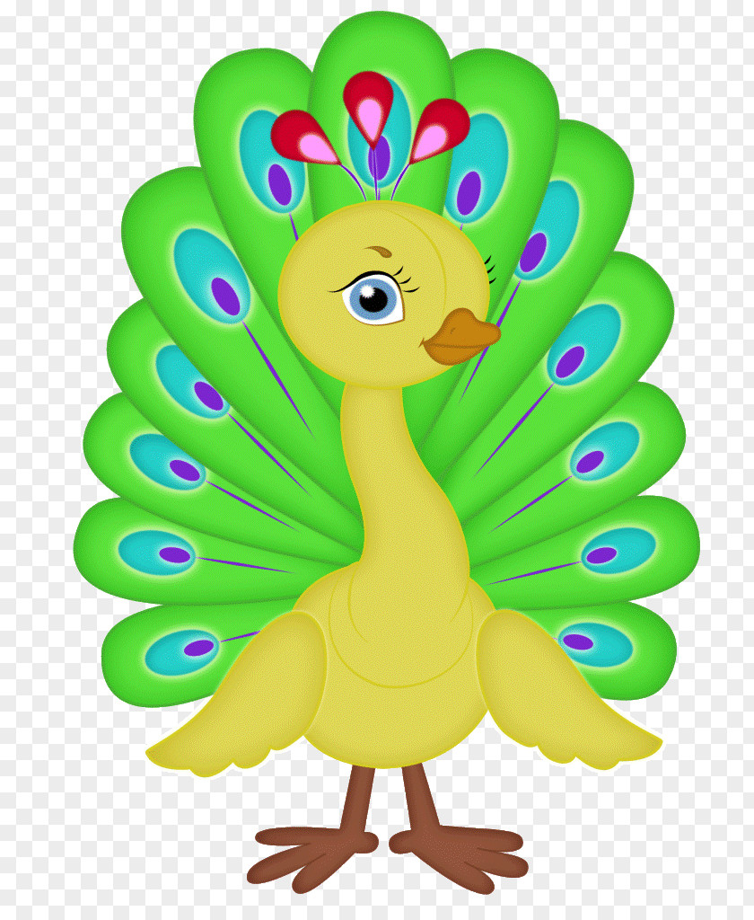 Chicken Bird Beak Clip Art PNG