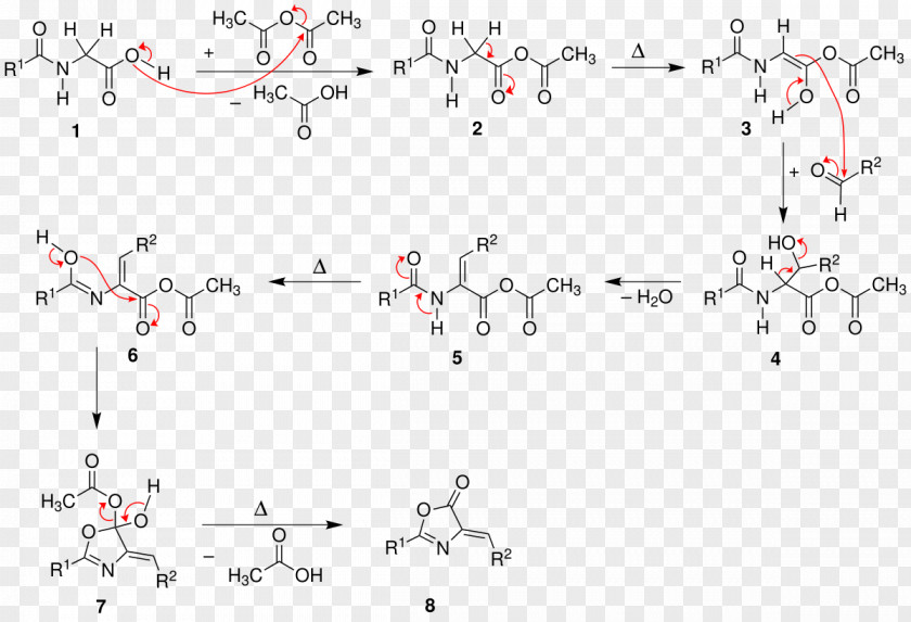 Erlenmeyer Hippuric Acid Erlenmeyer–Plöchl Azlactone And Amino-acid Synthesis Perkin Reaction Benzaldehyde Organic Chemistry PNG