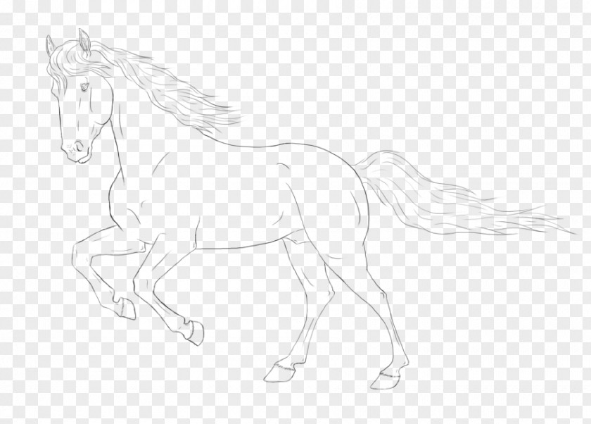 Gallop Line Art Horse Halter Pony Sketch PNG