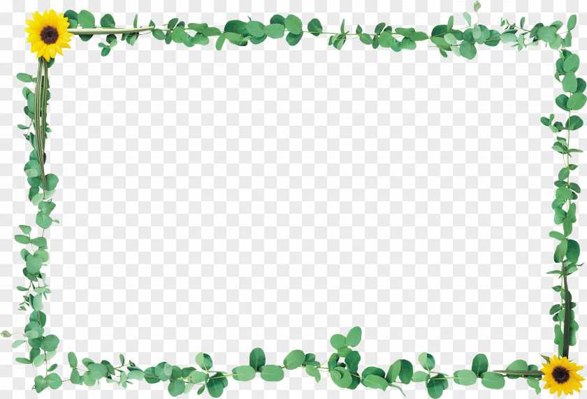 Leaf Border Picture Frames Clip Art PNG