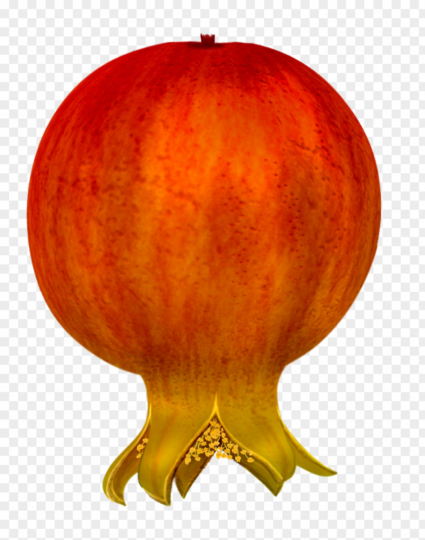 Pomegranate Clip Art PNG