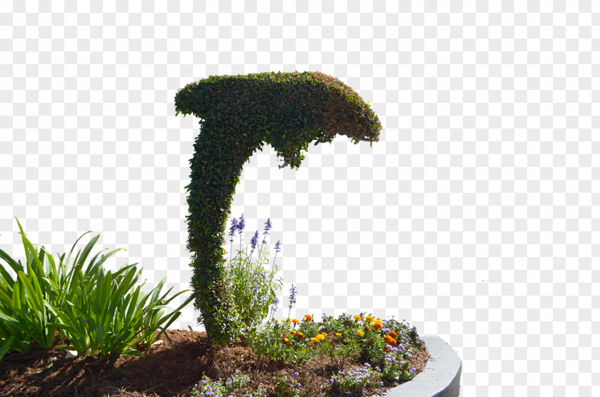 Share Topiary Stock Photography Shrub PNG