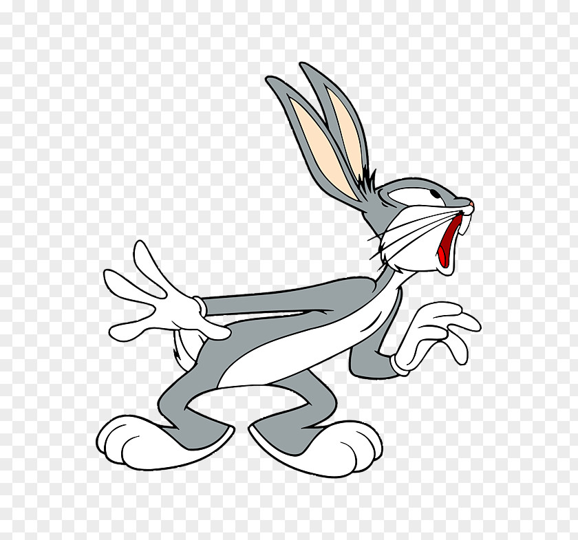Bugs Bunny Elmer Fudd Looney Tunes Clip Art PNG