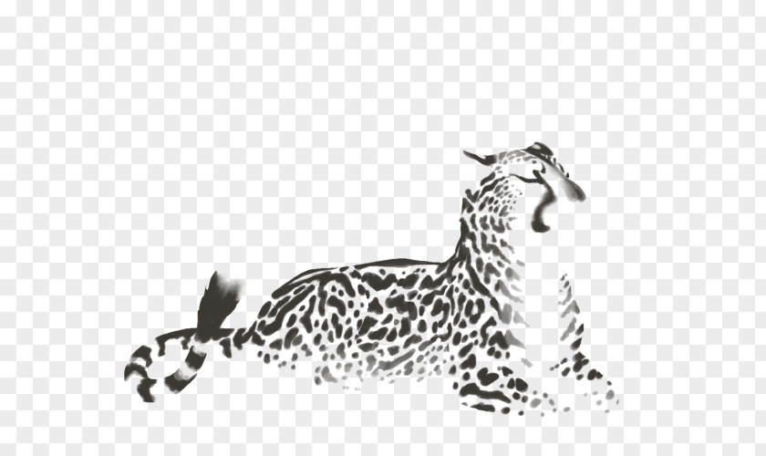 Cheetah Felidae Leopard Cat Jaguar PNG