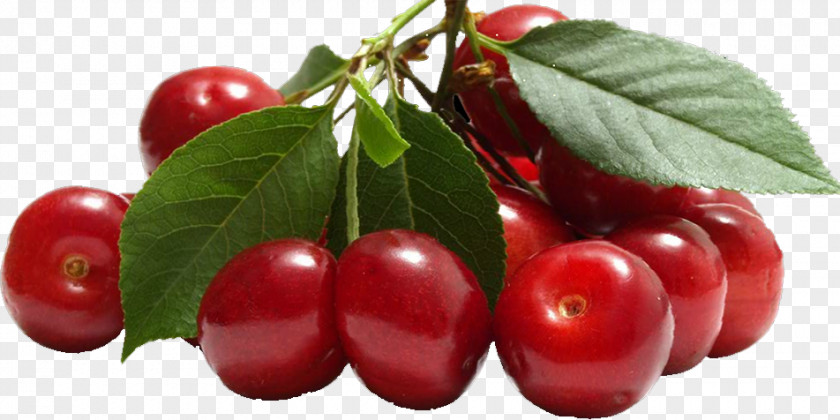Cherry Barbados Fruit Food PNG