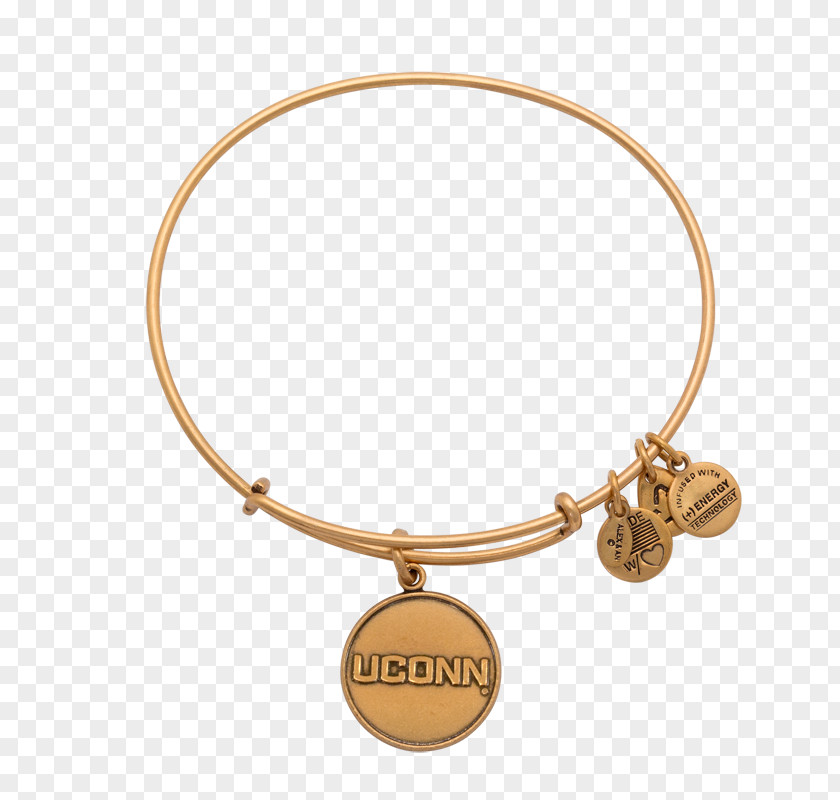 Fashion Jewelry Charm Bracelet Bangle Alex And Ani Jewellery PNG