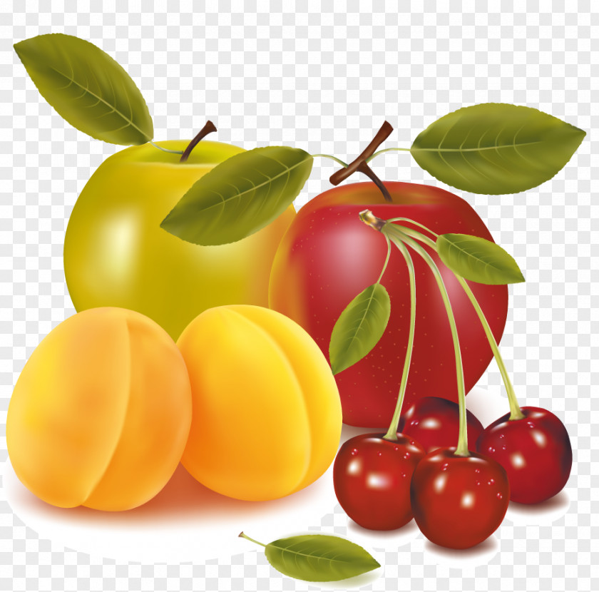 Fruits Fruit Drawing Clip Art PNG