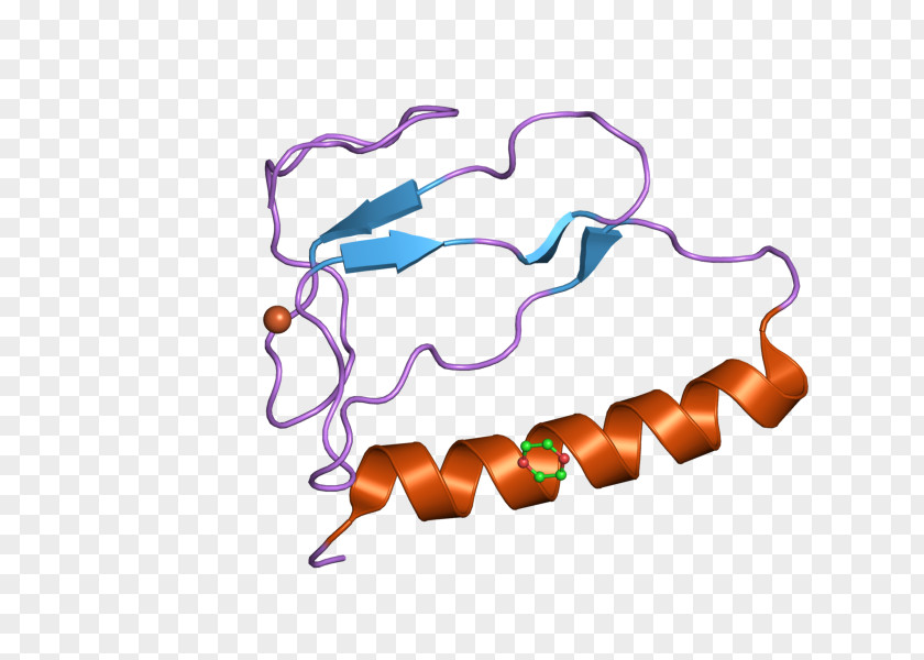 Insulin-like Growth Factor-binding Protein IGFBP1 Factor 1 IGFBP3 PNG
