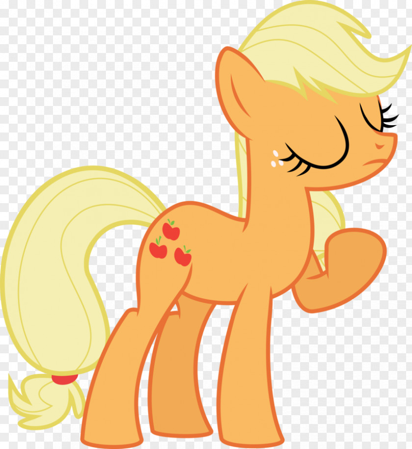 My Little Pony Applejack Pinkie Pie Rarity Rainbow Dash PNG