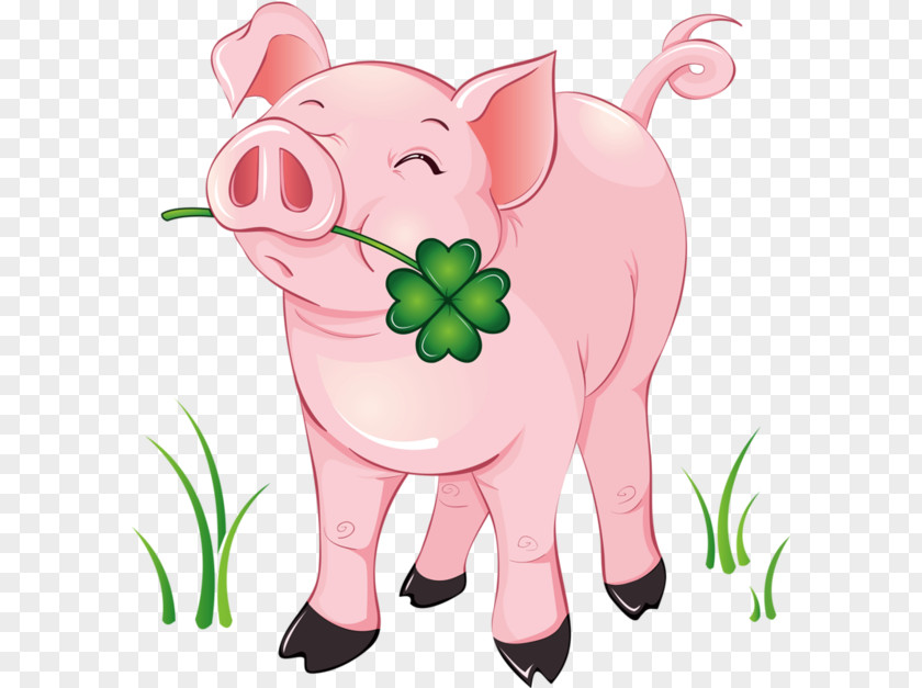 Paddy Animal Feed Domestic Pig Clip Art Image Vector Graphics PNG