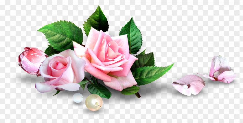Rose Pink Flower Desktop Wallpaper PNG