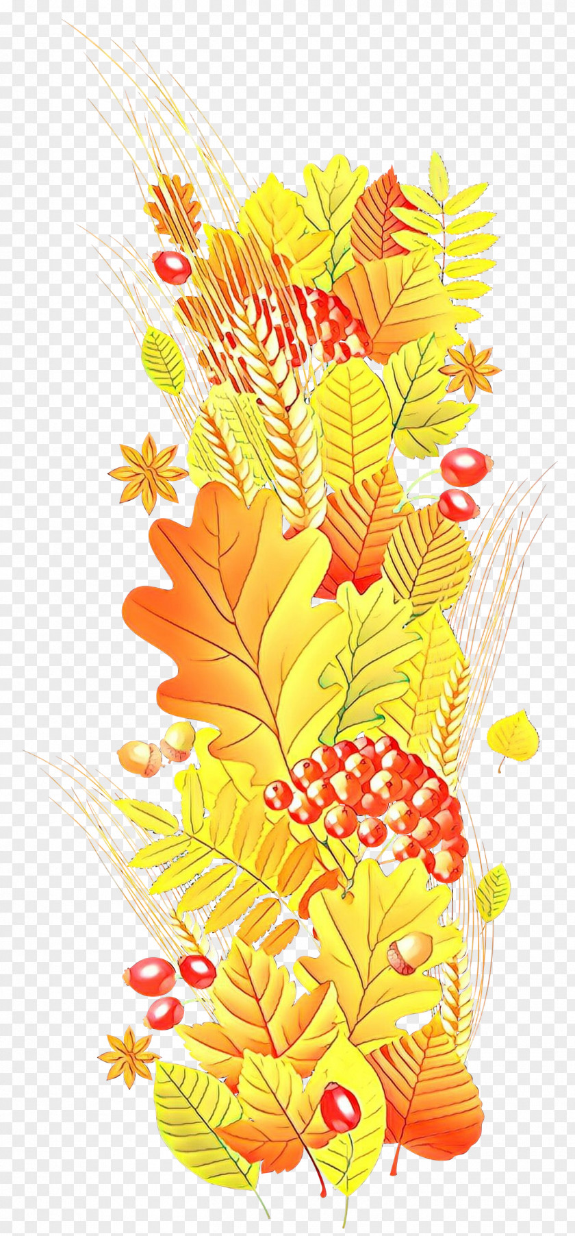 Vascular Plant Flower Leaf Yellow Clip Art PNG