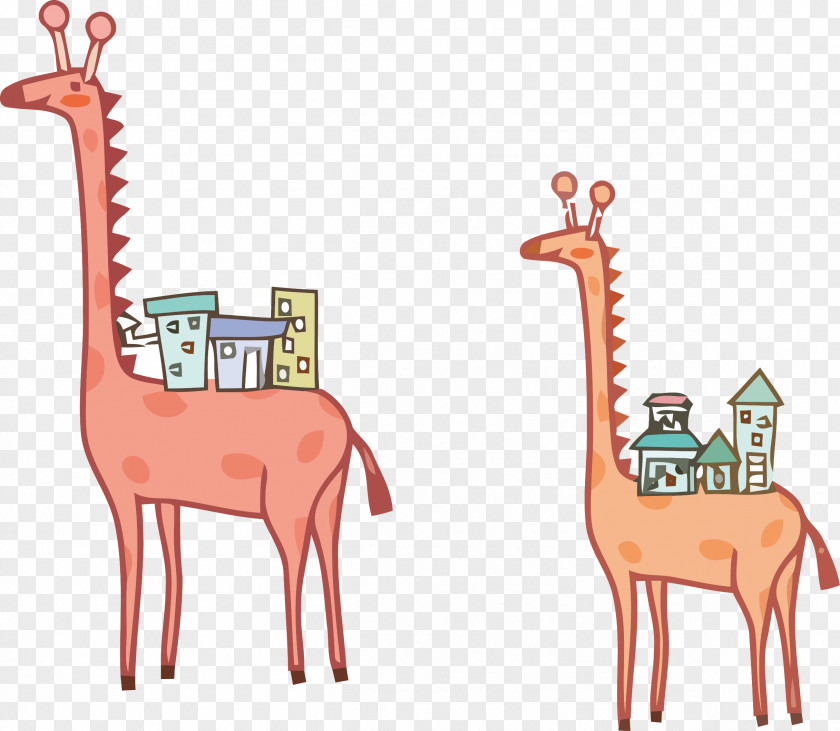 Vector Illustration Giraffe Northern Illustrator PNG