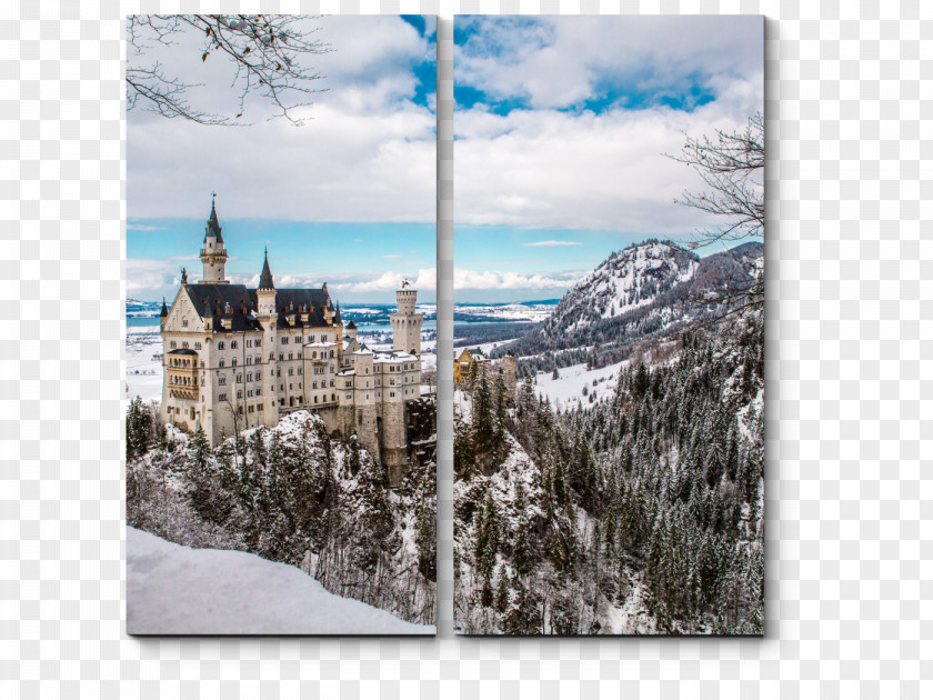 Castle Neuschwanstein Hohenschwangau Linderhof Palace Eltz PNG