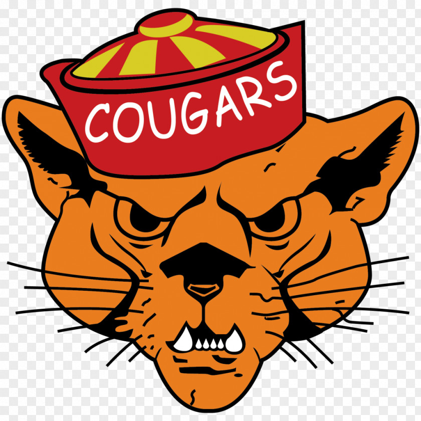 Cat Cougar Whiskers Clip Art PNG