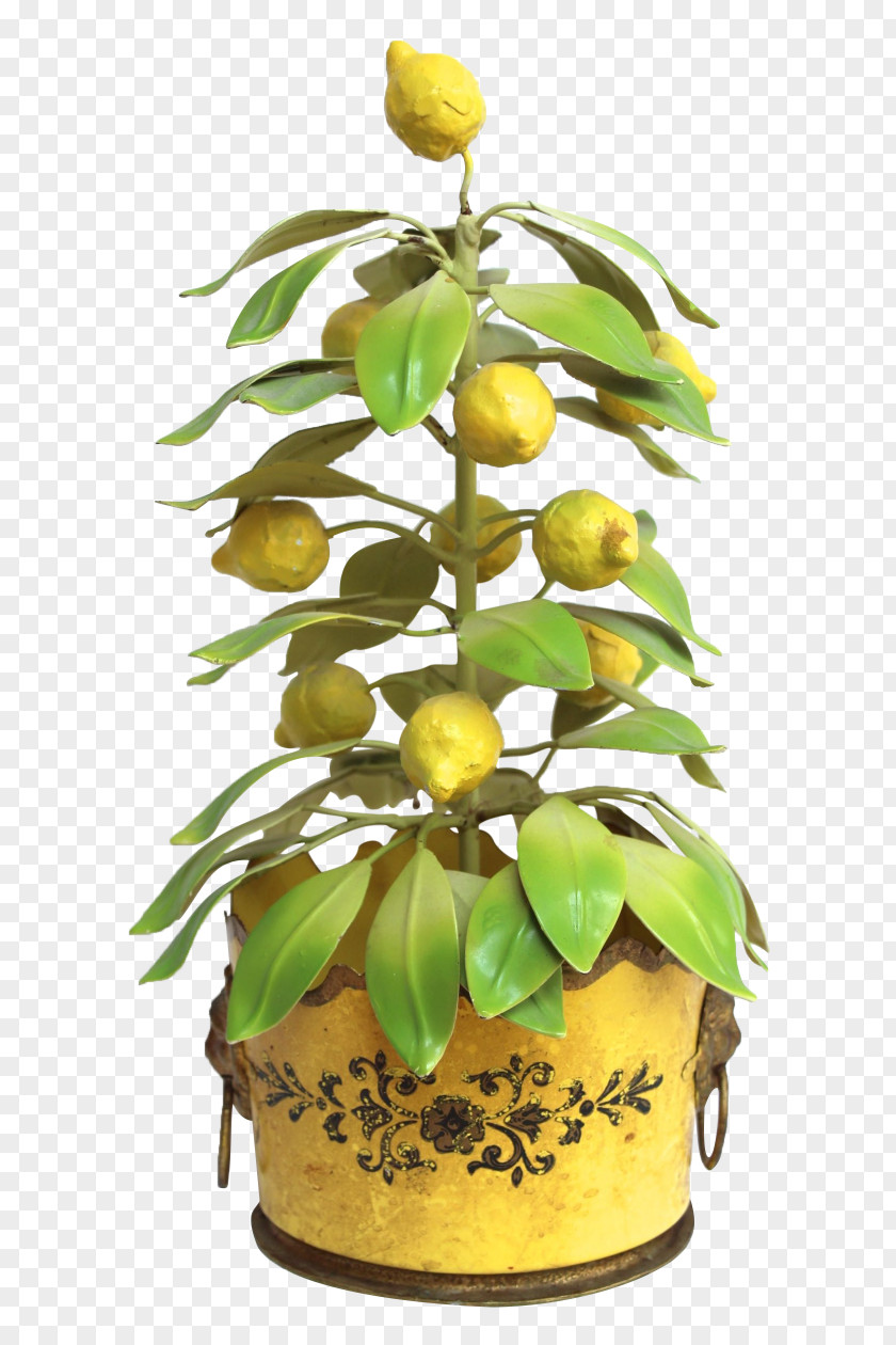 Design Floral Flowerpot Houseplant Fruit PNG