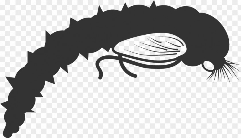 Fly Fishing Nymph Pupa Clip Art PNG