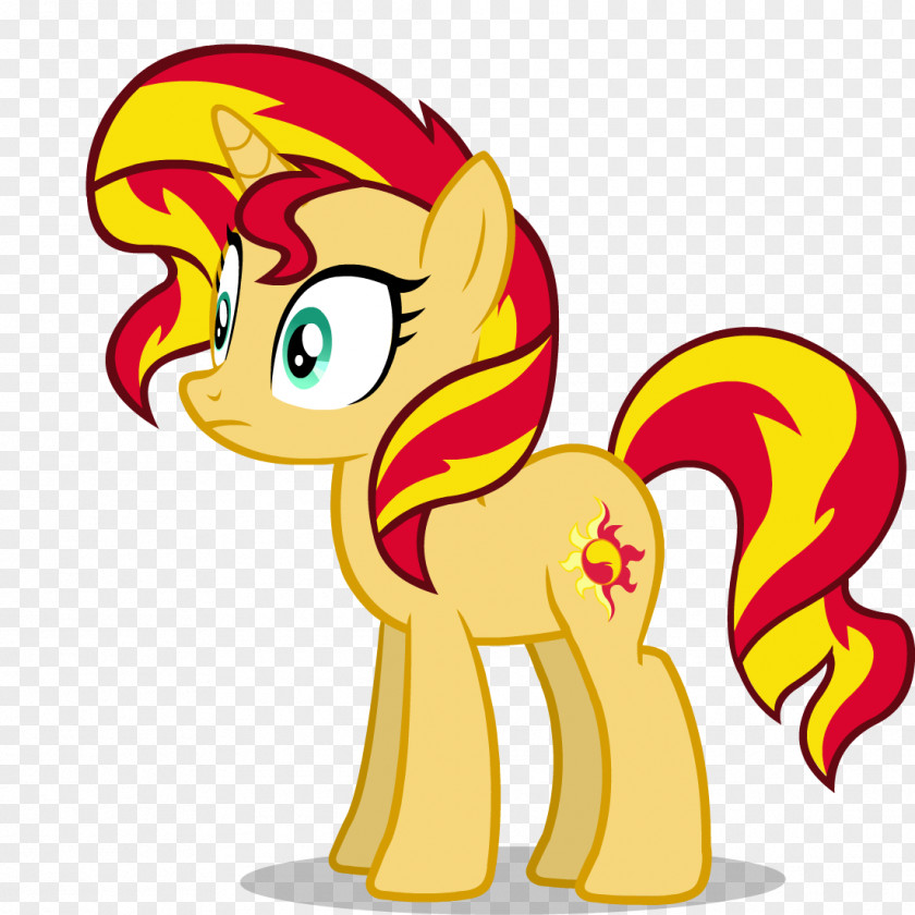 Horse Twilight Sparkle Sunset Shimmer Pony Rainbow Dash PNG