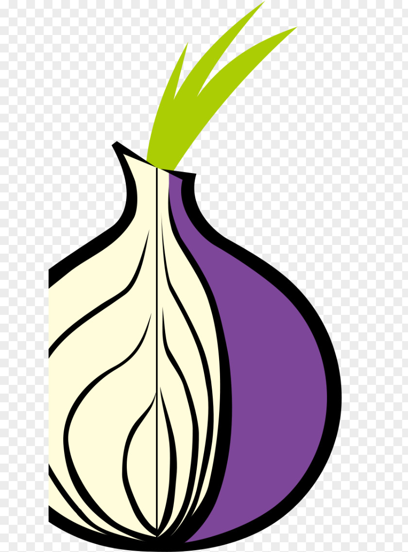 Onion Tor .onion Web Browser Anonymous Browsing Routing PNG