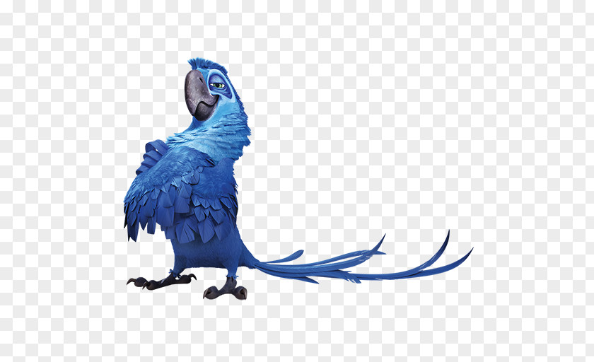 Parrot Jewel Blu Rio Linda Icon PNG