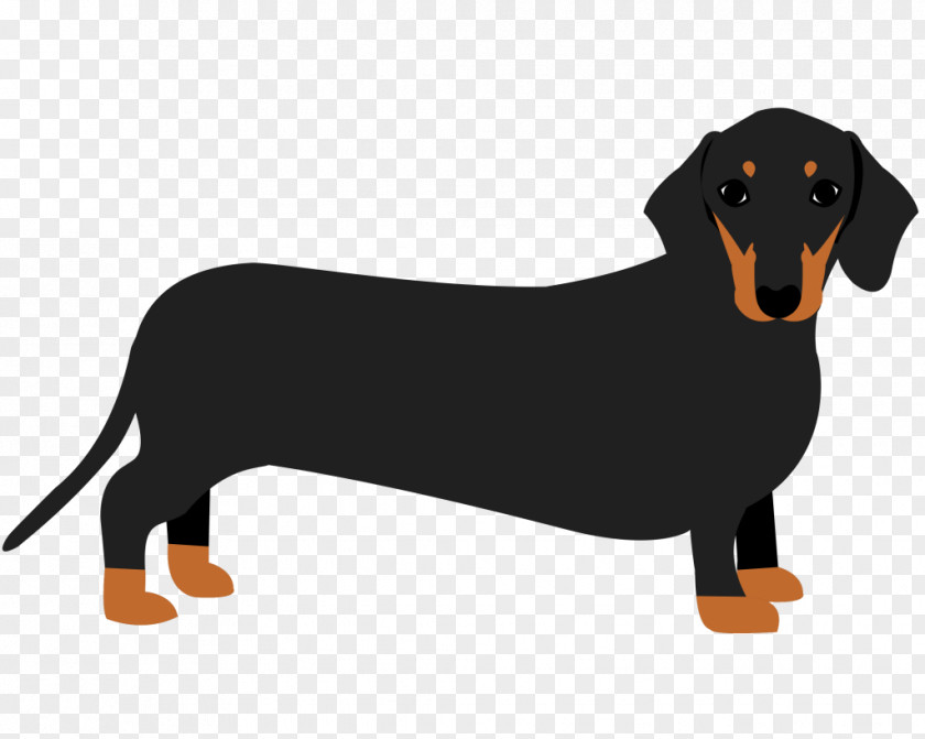 Puppy Dachshund Dog Breed Mug Sophisticated Pup PNG
