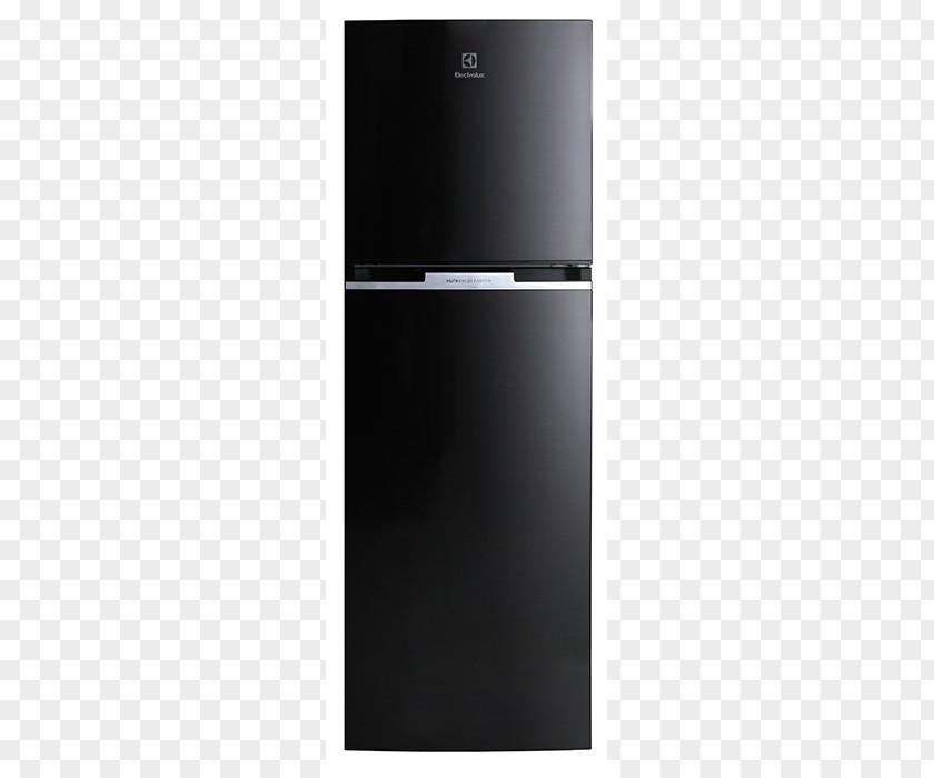 Refrigerator Electrolux Thailand Door Home Appliance PNG