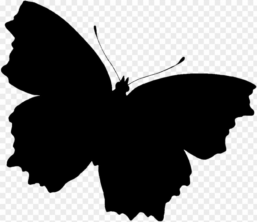 Swallowtail Butterfly Wing Silhouette PNG