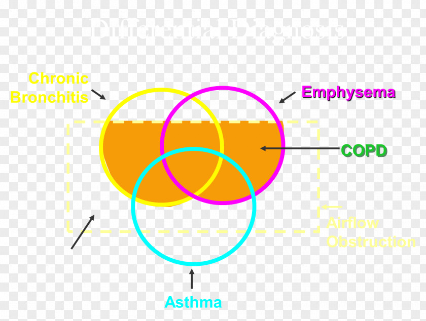 Chronic Obstructive Pulmonary Disease Bronchitis Sputum Function Testing Lung PNG