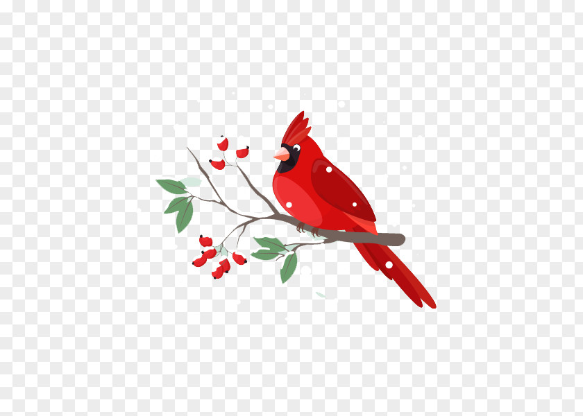 Flat Bird Branches Illustrator Illustration PNG