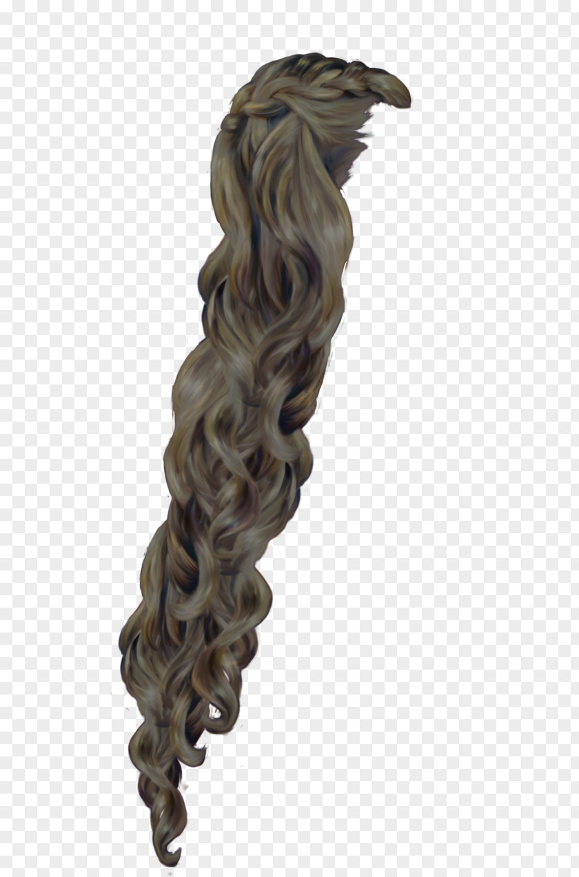 Hair Rapunzel Clip Art Braid Openclipart PNG