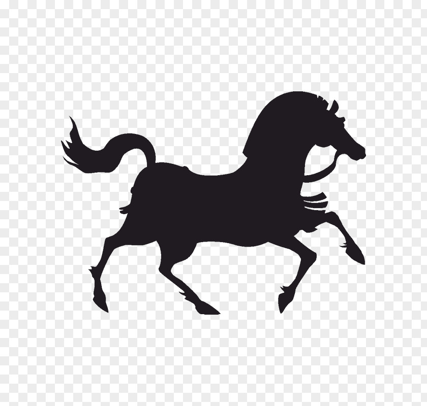 Horse Vector Graphics Drawing Image Illustration PNG