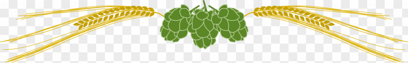 Microsoft Cliparts Beer Hops Barley Clip Art PNG