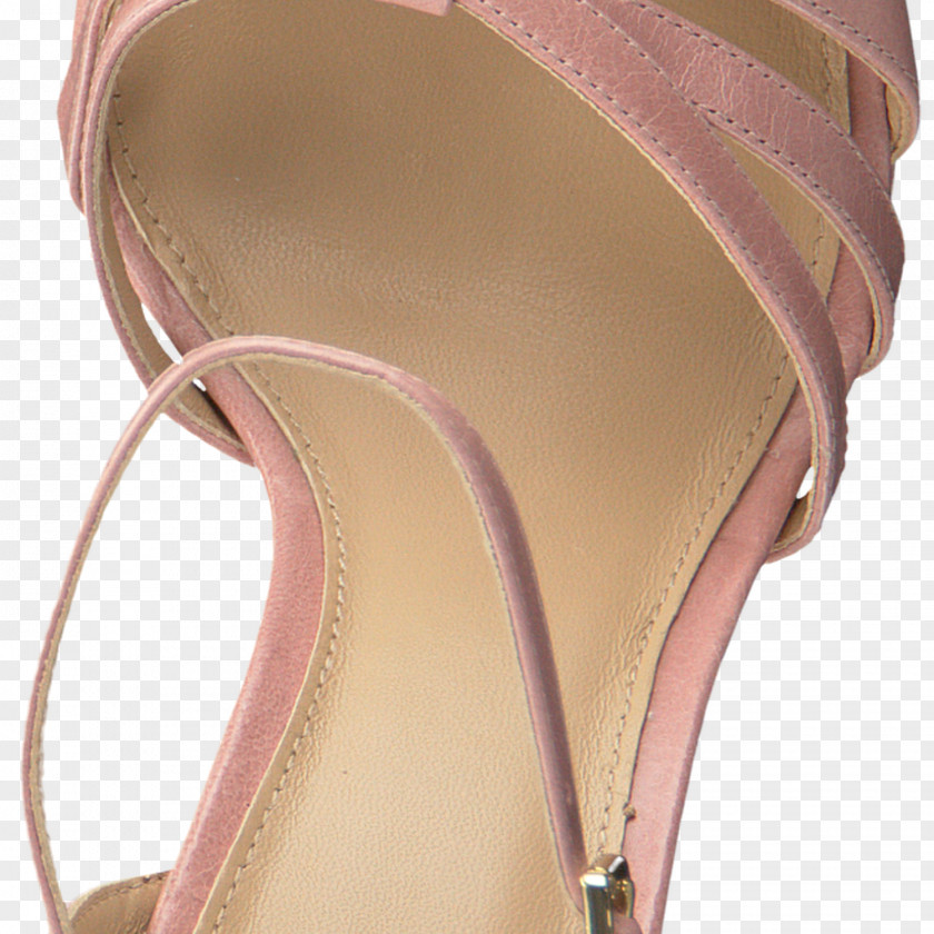 Sandal Shoe Pink M Hardware Pumps PNG
