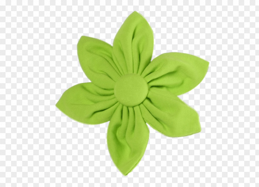 Flower Petal Green Clothing PNG